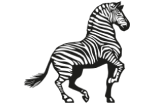 ZEBRA SYSTEMS, s.r.o. logo