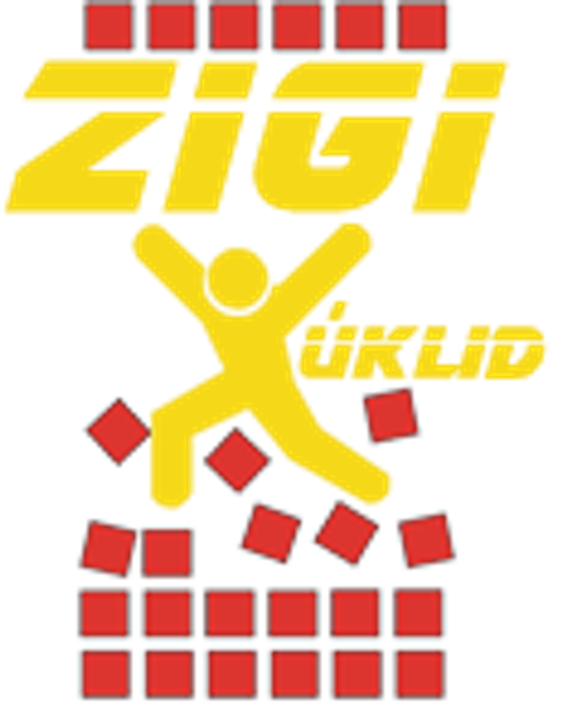 ZiGi úklid logo