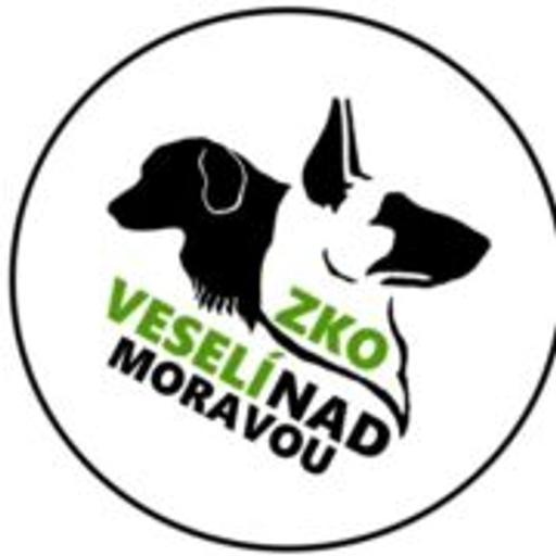 ZKO Veselí nad Moravou logo