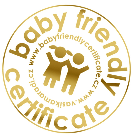 Zrcadlový labyrint logo