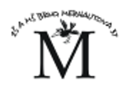 ZŠ a MŠ Brno, Merhautova logo