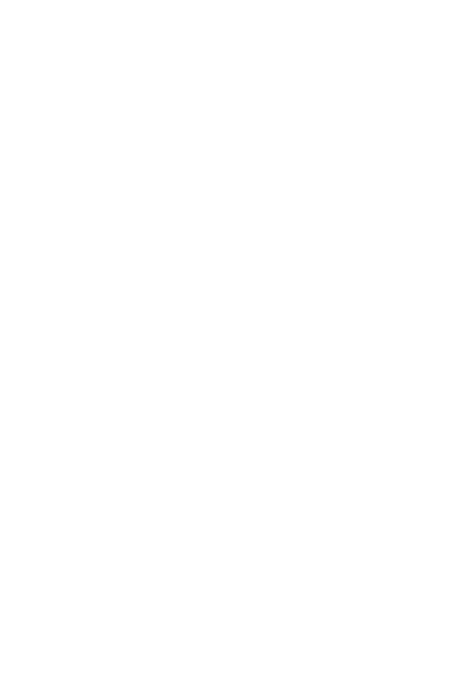 Základní škola Mikulov, Hraničářů logo