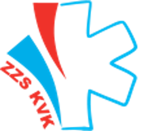 Zdravotnická záchranná služba Karlovarského kraje logo